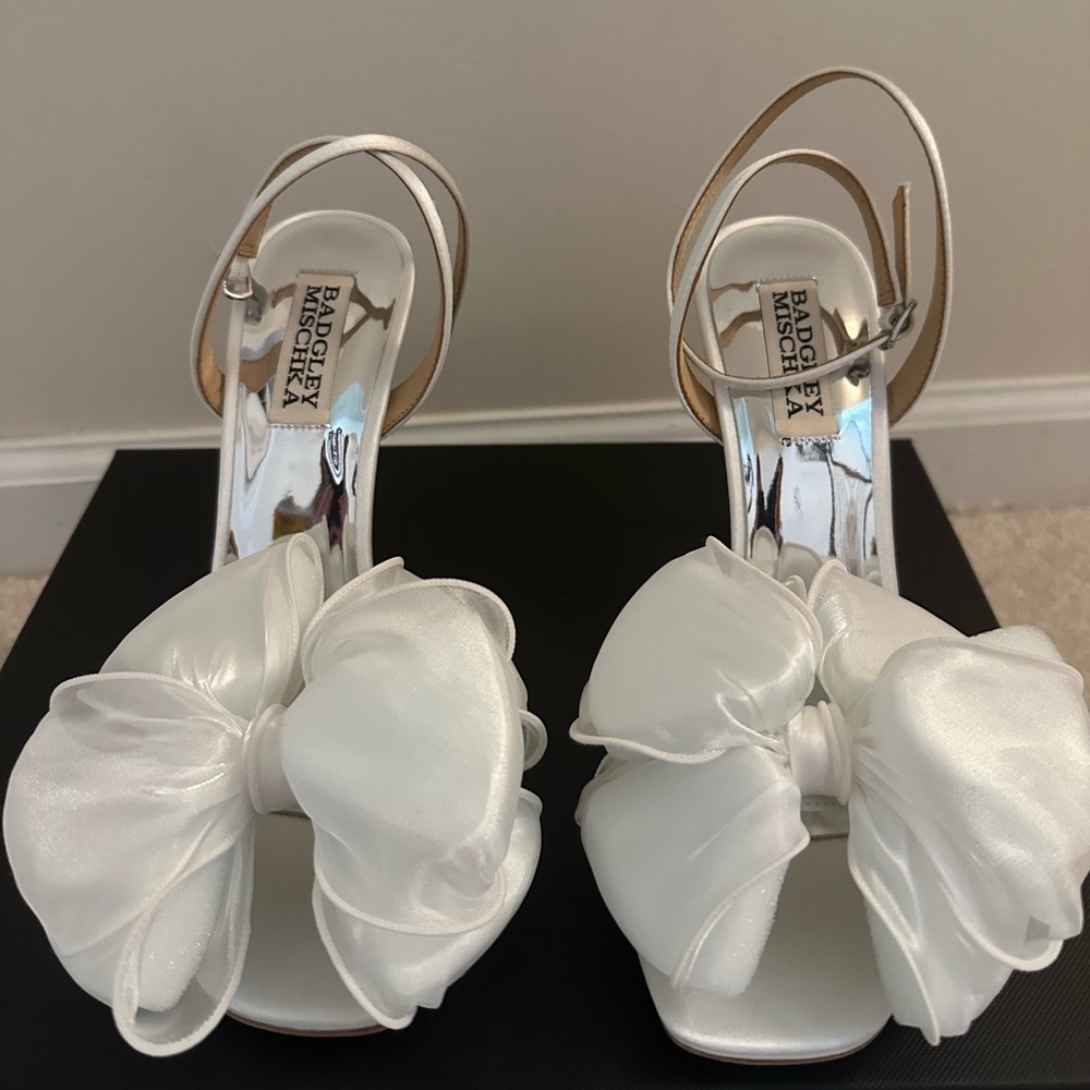 Badgley Mischka Nessie Pumps 6.5